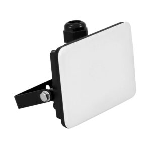 LED floodlight 10 W